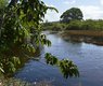 gustavoboulhosa-in-imbassai-river-196079_640