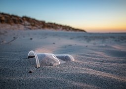 hamsterfreund-beach-5697987_640