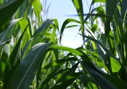 henry-perks-aOTBPSDjgj0-unsplash