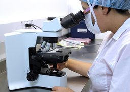 herney-microscope-2352650_640