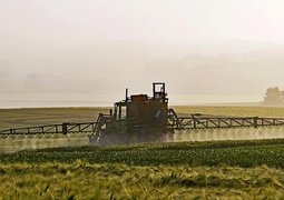 hpgruesen-agriculture-1359862_640