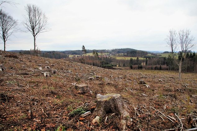 ivabalk-deforestation-6913287_640