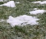 j_blueberry-snow-residue-7841660_640