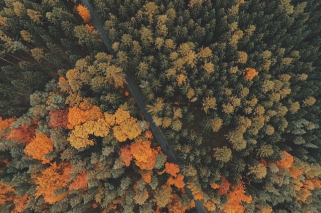 jakub-sejkora-utqJcneoFjo-unsplash