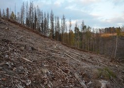 janakudrnova-jeseniky-4065936_640