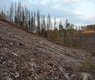 janakudrnova-jeseniky-4065936_640