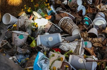 jas-min-DR2jtLy8Fe4-unsplash