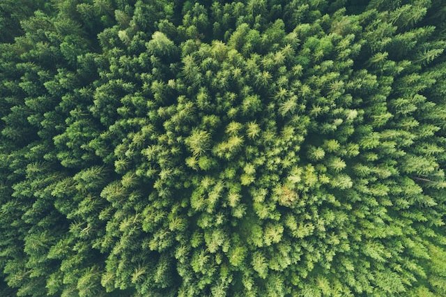 john-o-nolan-uMWPrcRsrto-unsplash