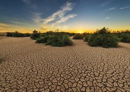 josealbafotos-drought-1675729_640