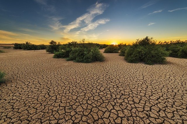 josealbafotos-drought-1675729_640
