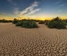 josealbafotos-drought-1675729_640