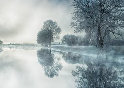 jplenio-nature-3091991_640
