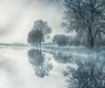 jplenio-nature-3091991_640