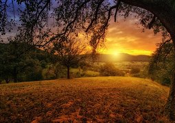 jplenio-nature-3125912_640