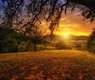 jplenio-nature-3125912_640