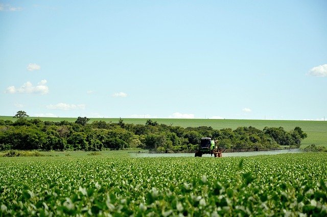 kaosnoff-agriculture-4472766_640