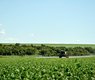 kaosnoff-agriculture-4472766_640