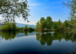 kareni-nature-2310240_640