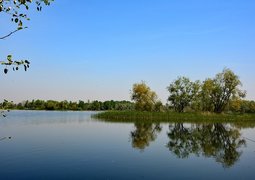 kareni-nature-2310242_640