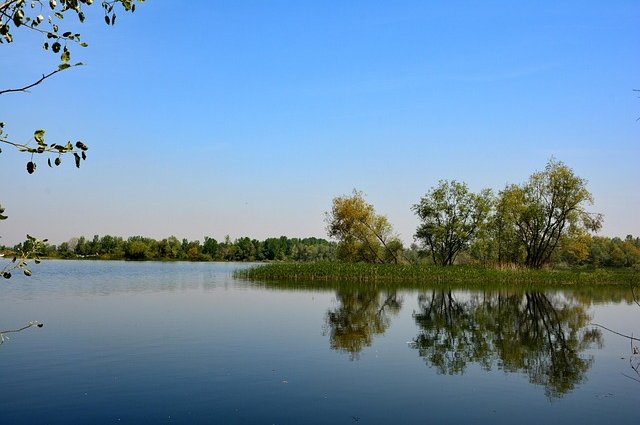 kareni-nature-2310242_640