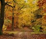 kazkar-autumn-6968889_640