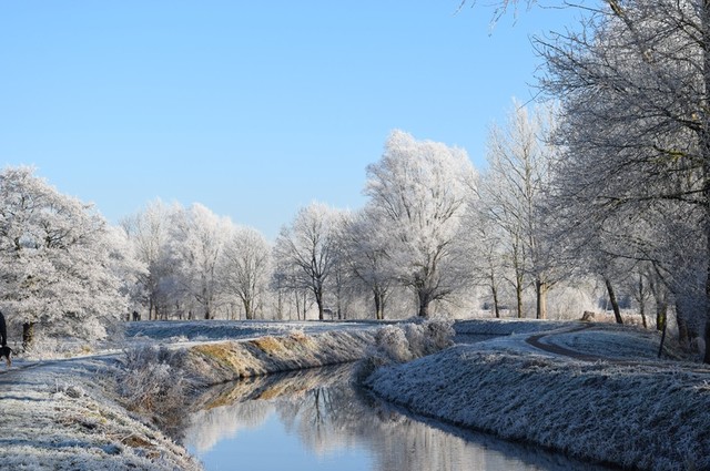 landscape-tree-nature-branch-snow-winter-1194872-pxhere.com