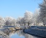 landscape-tree-nature-branch-snow-winter-1194872-pxhere.com