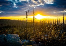 leonhard_niederwimmer-sunset-5211236_640