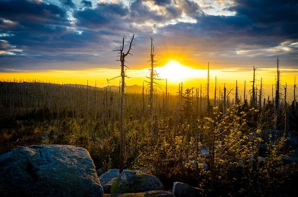 leonhard_niederwimmer-sunset-5211236_640