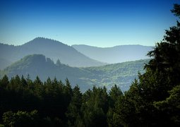 luboshouska-forests-832196_640
