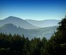 luboshouska-forests-832196_640