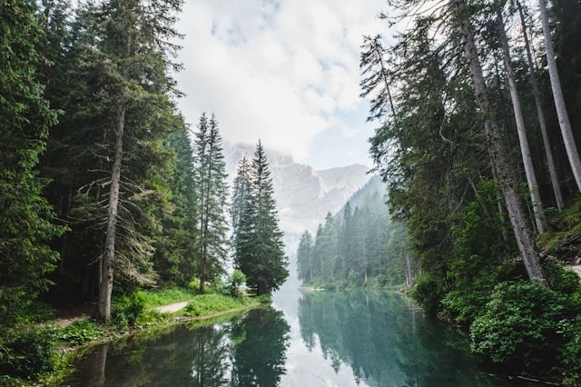 luca-bravo-ESkw2ayO2As-unsplash