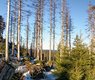 makalu-germany-4686763_640
