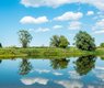 mandrillart-river-elbe-5383660_640