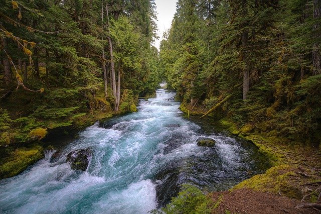 mckenzie-river-5129717_640.jpg