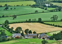 memorycatcher-farming-8210675_640