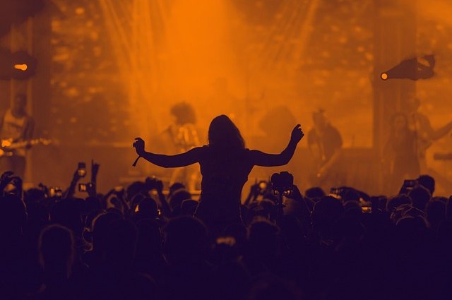 mikewallimages-concert-3084876_640