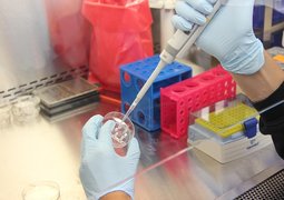 mwooten-science-1029385_640