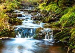 myriams-fotos-flow-1781423_640