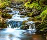 myriams-fotos-flow-1781423_640