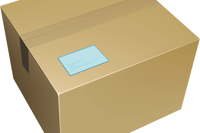 nasilzang-box-1252639_640