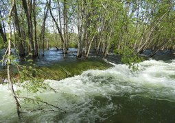 natalia_kollegova-flood-5433794_640