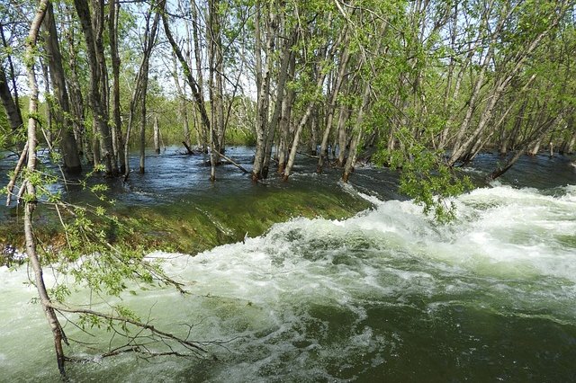 natalia_kollegova-flood-5433794_640