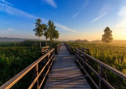 nature-conservation-4352793_640