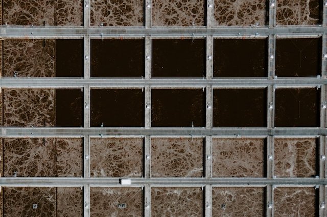 patrick-federi-BujUXxH54i8-unsplash