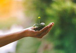 pexels-akilmazumder-4763942