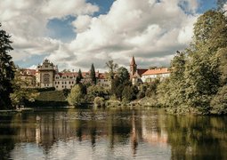 pexels-alice-15801416