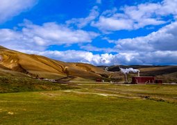 pexels-francesco-ungaro-464394