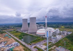 pexels-hujason-21773961