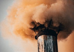 pexels-ionelceban-3080527